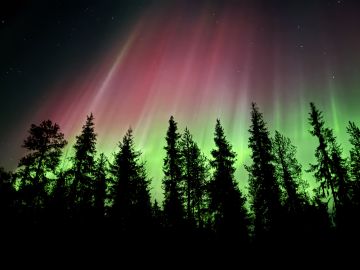 Arctic Circle Aurora Adventure