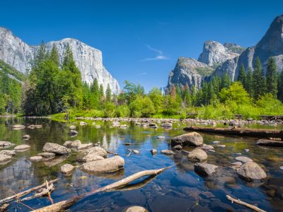 Yosemite_Land-Tours