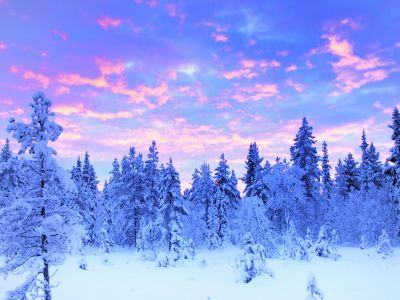 Arctic Circle Aurora Adventure