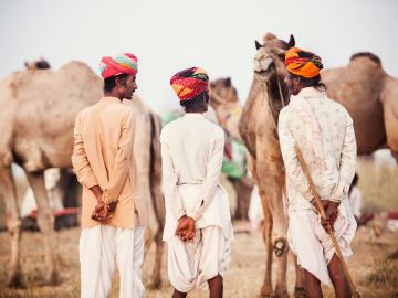 Colours of Rajasthan – Pushkar Festival