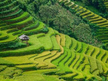 Hidden Vietnam: Sapa & Beyond