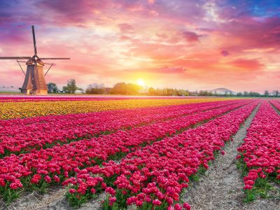Spring Time In Europe Sale