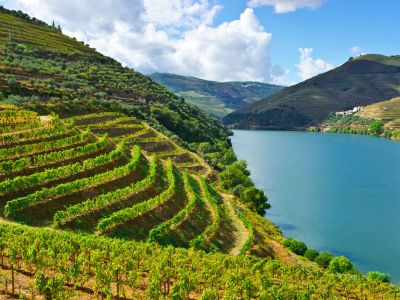 Cycling in the Douro Valley