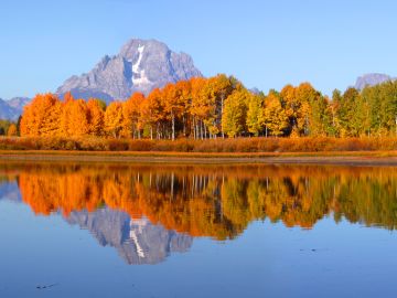 Yellowstone Walks & Wolves