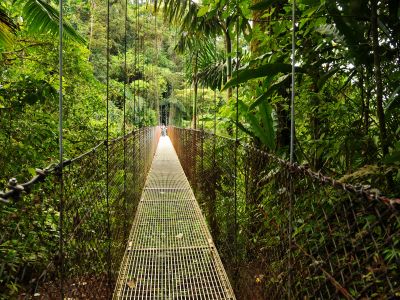 Hanging bridges