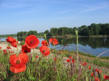 loire_valley_-_loire_river