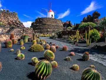 Contrasts of Lanzarote