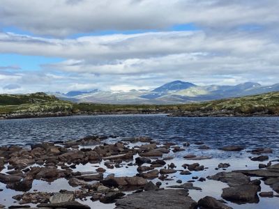 Guided Walking in Venabu, Norway