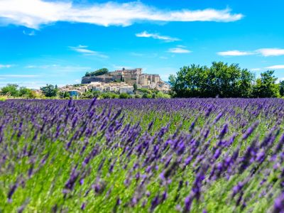 Landscapes of the Luberon Cycling