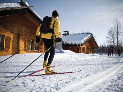 Cross-Country Skiing in Lapland