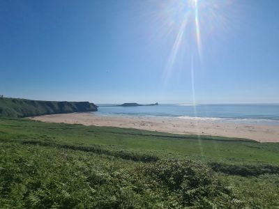 worms-head