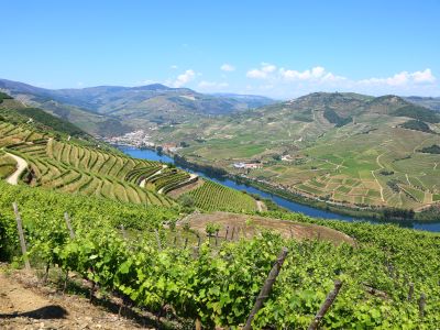 Walk the Highlights of Northern Portugal