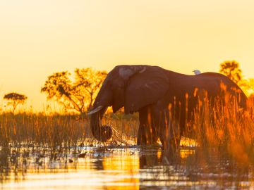 Namibia & Botswana: Dunes & Delta