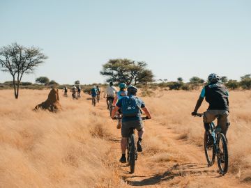 Off-Road Cycling