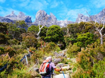 Trekking Borneo & Beyond