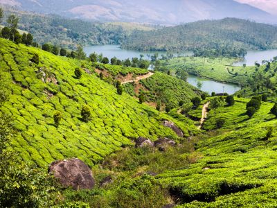 Spice Trails of Kerala