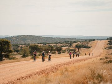 New Cycling Holidays