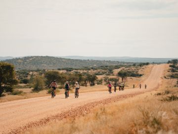 New Cycling Holidays