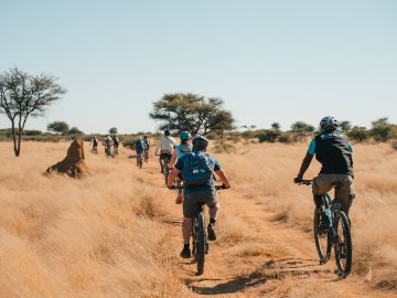 Off-Road Cycling