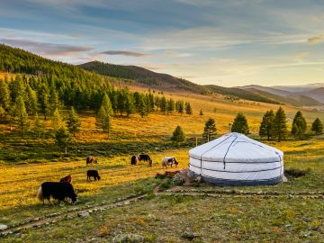 Culture Holidays in Mongolia