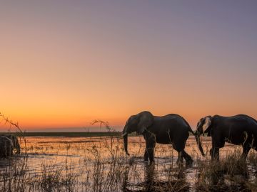 Chobe National Park