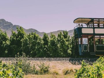 Highlights of South Africa’s Winelands