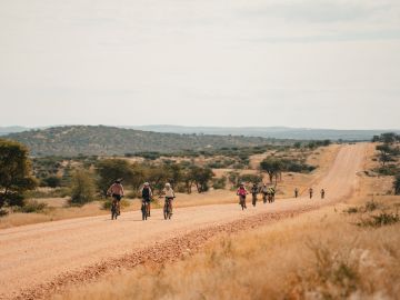 New Cycling Holidays