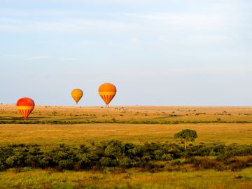 Africa