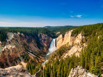Yellowstone Walks & Wildlife