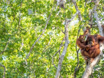 Thriving Nature, Thriving People Moments