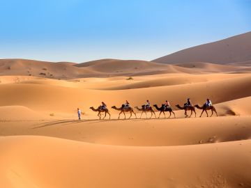 Sahara