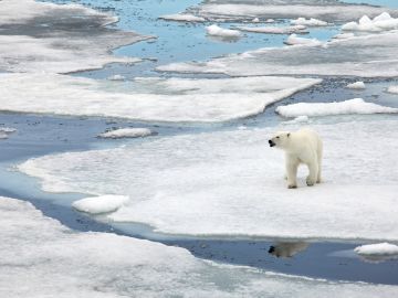 Spitsbergen Explorer: Best of High Arctic Norway (2025)