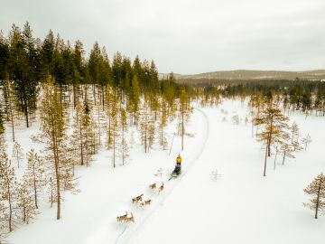 Winter Holidays in Finland