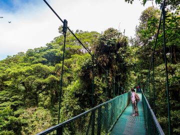 Costa Rica Monteverde Cloud Forest