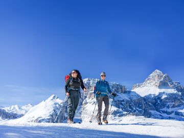Where to Travel in December
