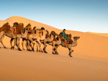 Gobi Desert