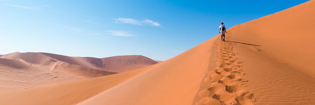 The Exodus Adventure Sale