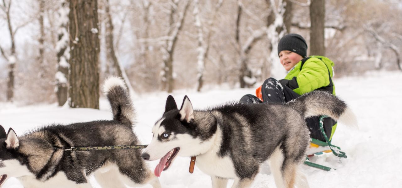 Finland Family Winter Adventure
