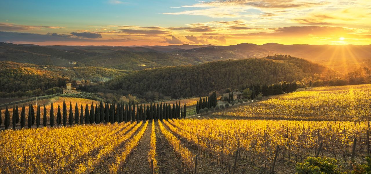 Tuscany Walks & Chianti Wines