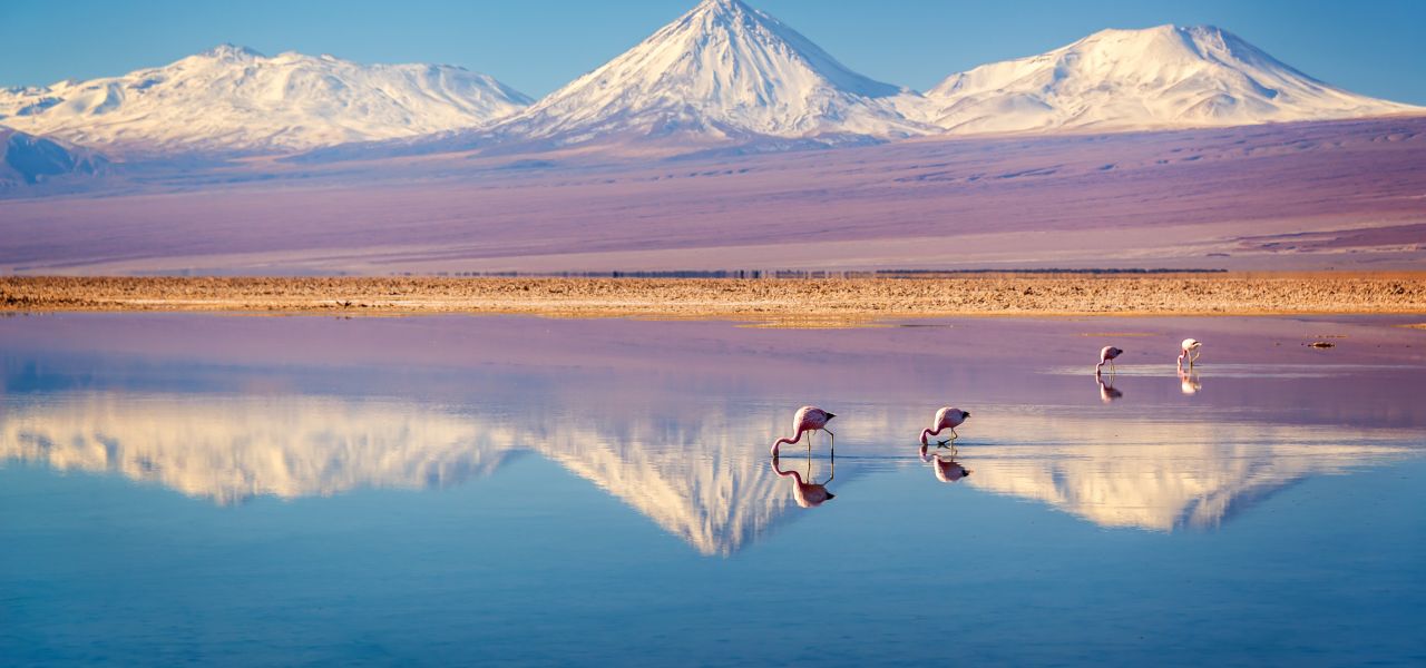 Discover Chile
