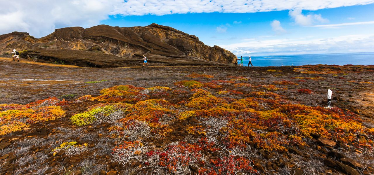 Galapagos: In Darwin’s Footsteps