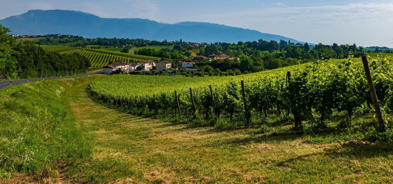 Venetian Villas and Vineyards Cycling