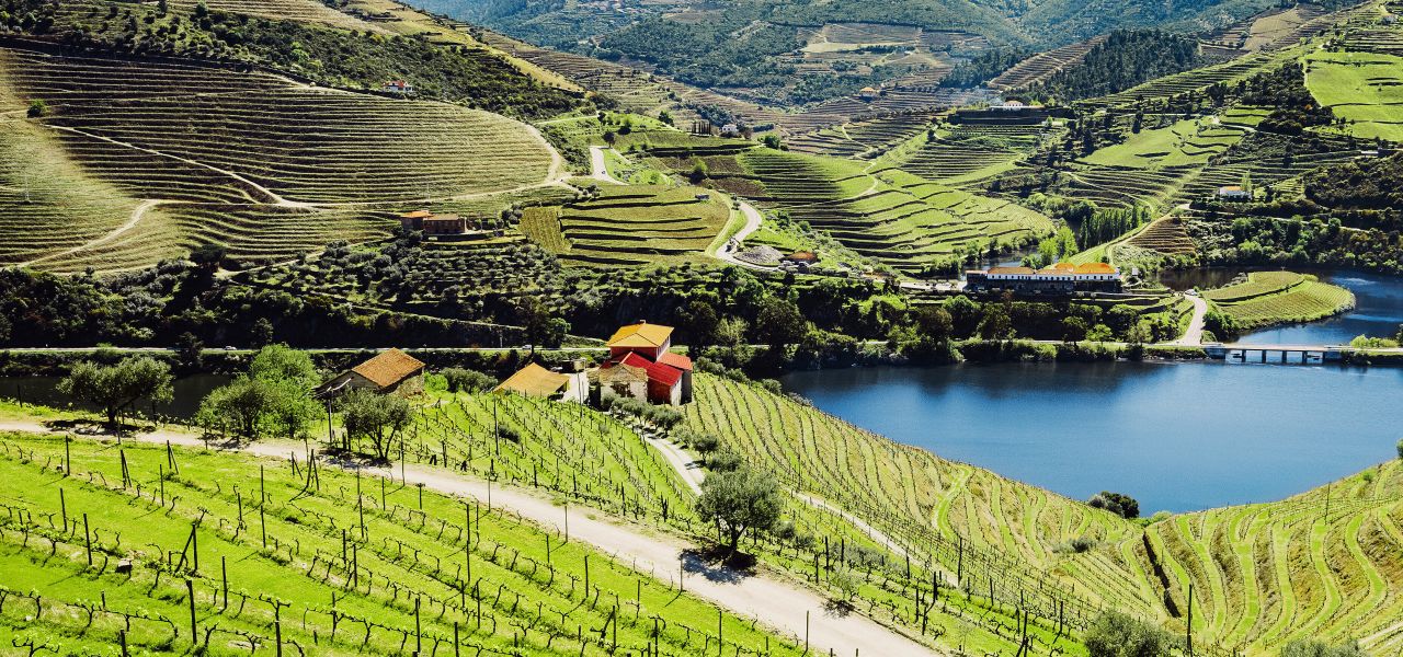 Portugal: Walking & Wine – Premium Adventure