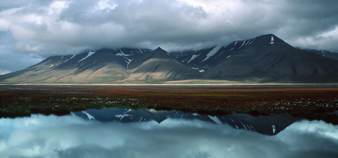 Four Arctic Islands: Spitsbergen, Jan Mayen, Greenland & Iceland