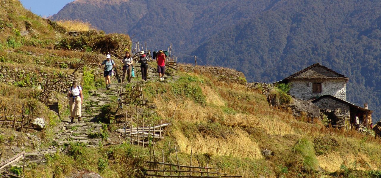 Into Nepal: Walks & Wildlife