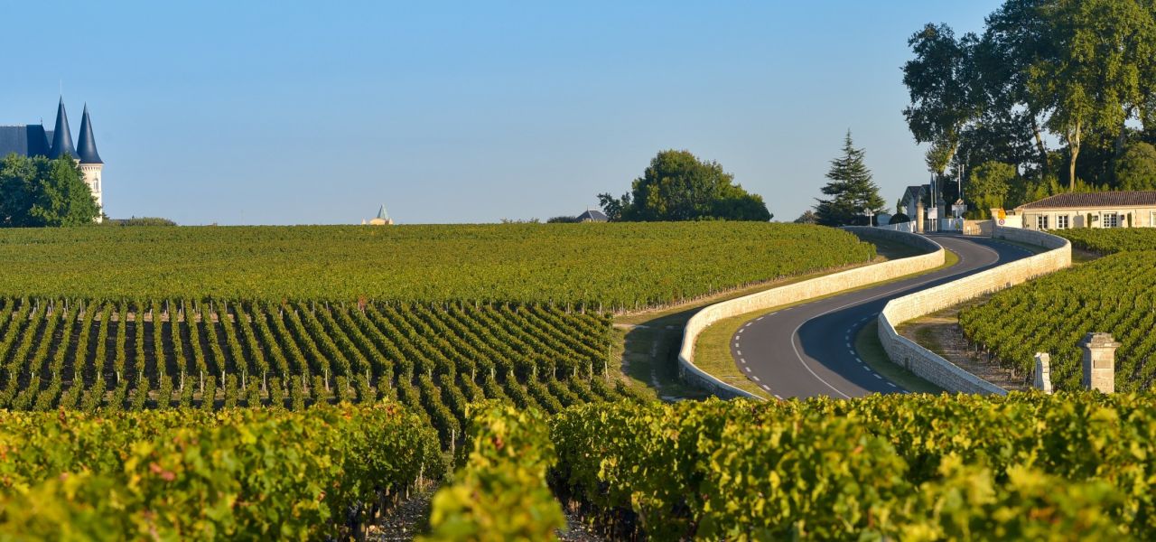 bordeaux-vineyards