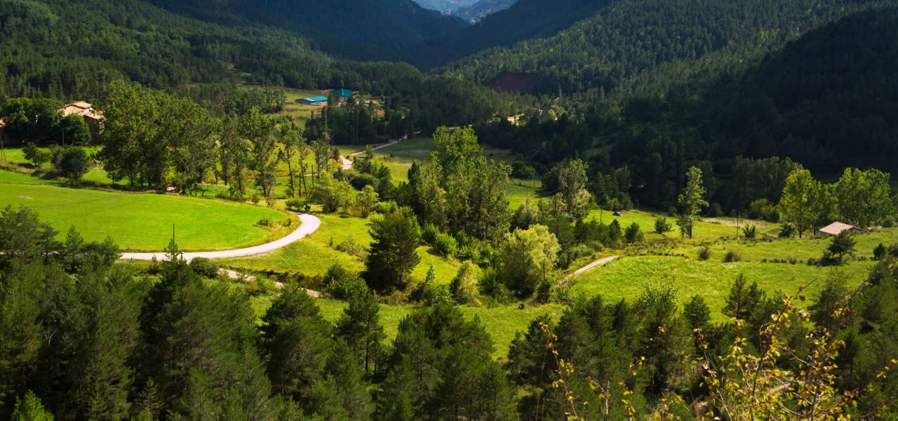 Walking across the Pyrenees on the Camino Frances