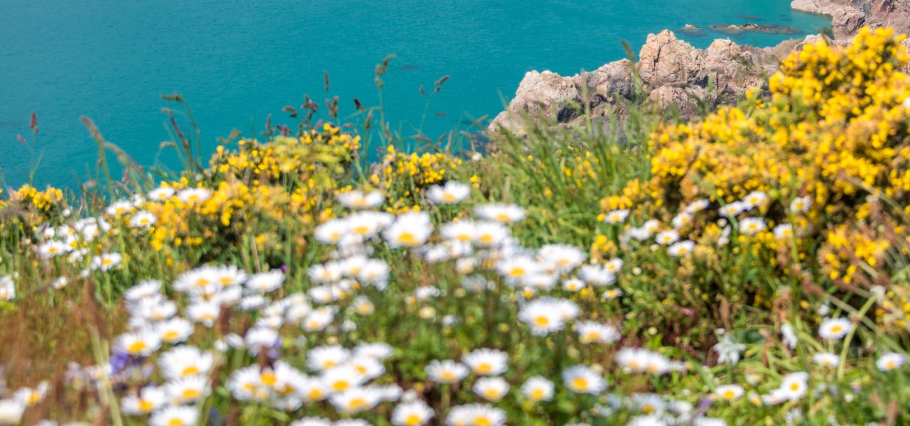 Walking in Jersey, Guernsey and Sark