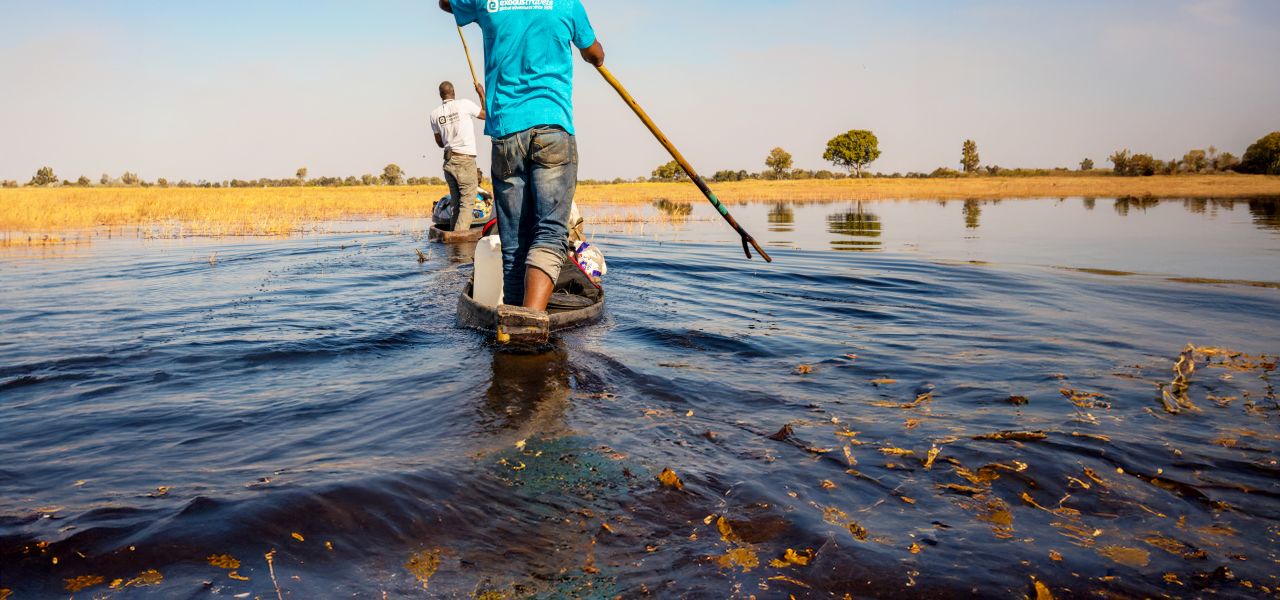 Southern Africa: Cape, Delta & Falls