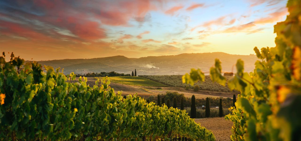 Discover Tuscany: Culture, Food & Wine